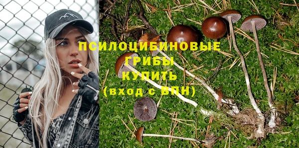 метамфетамин Аркадак
