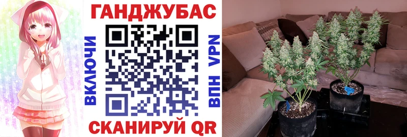 Каннабис White Widow  Рыльск 